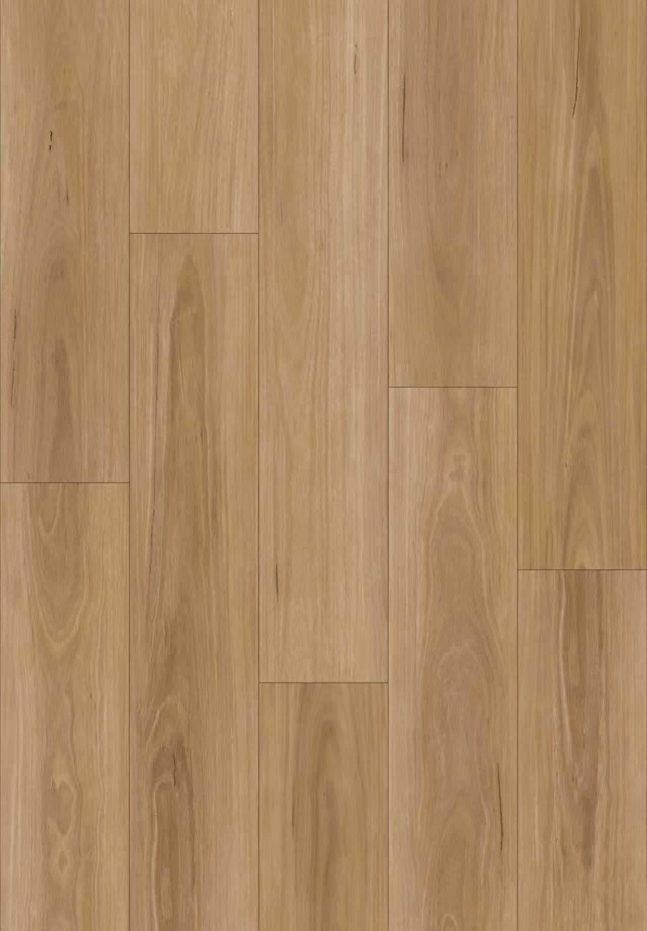 Blackbutt