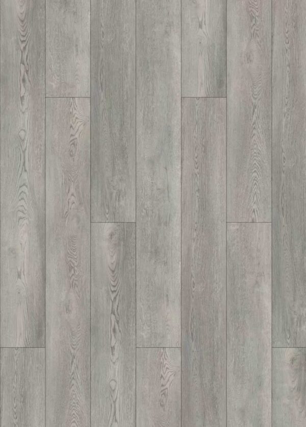 Grey oak