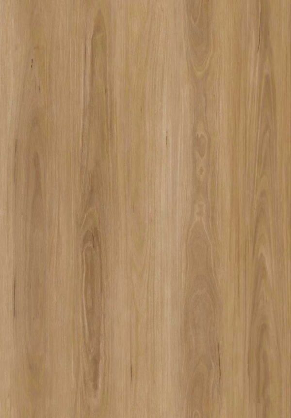 Blackbutt