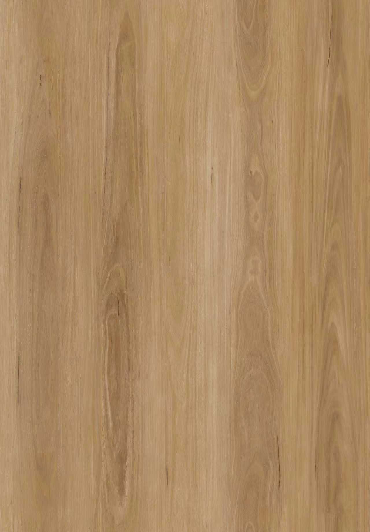 Blackbutt
