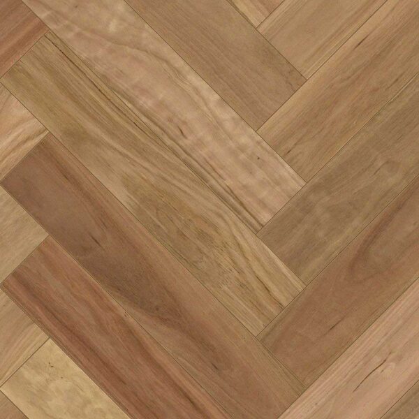 Blackbutt