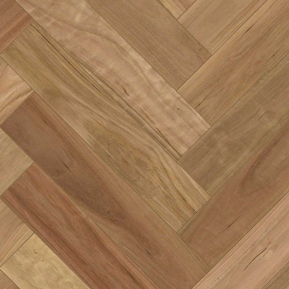 Blackbutt