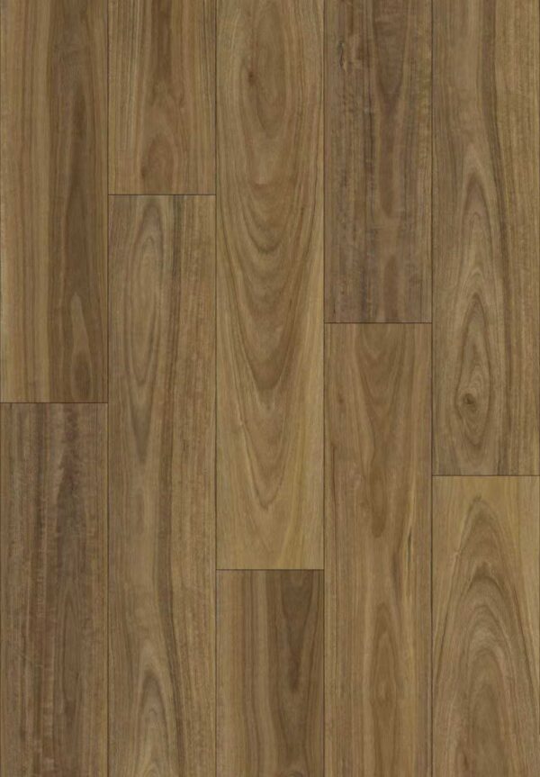 Spotted Gum