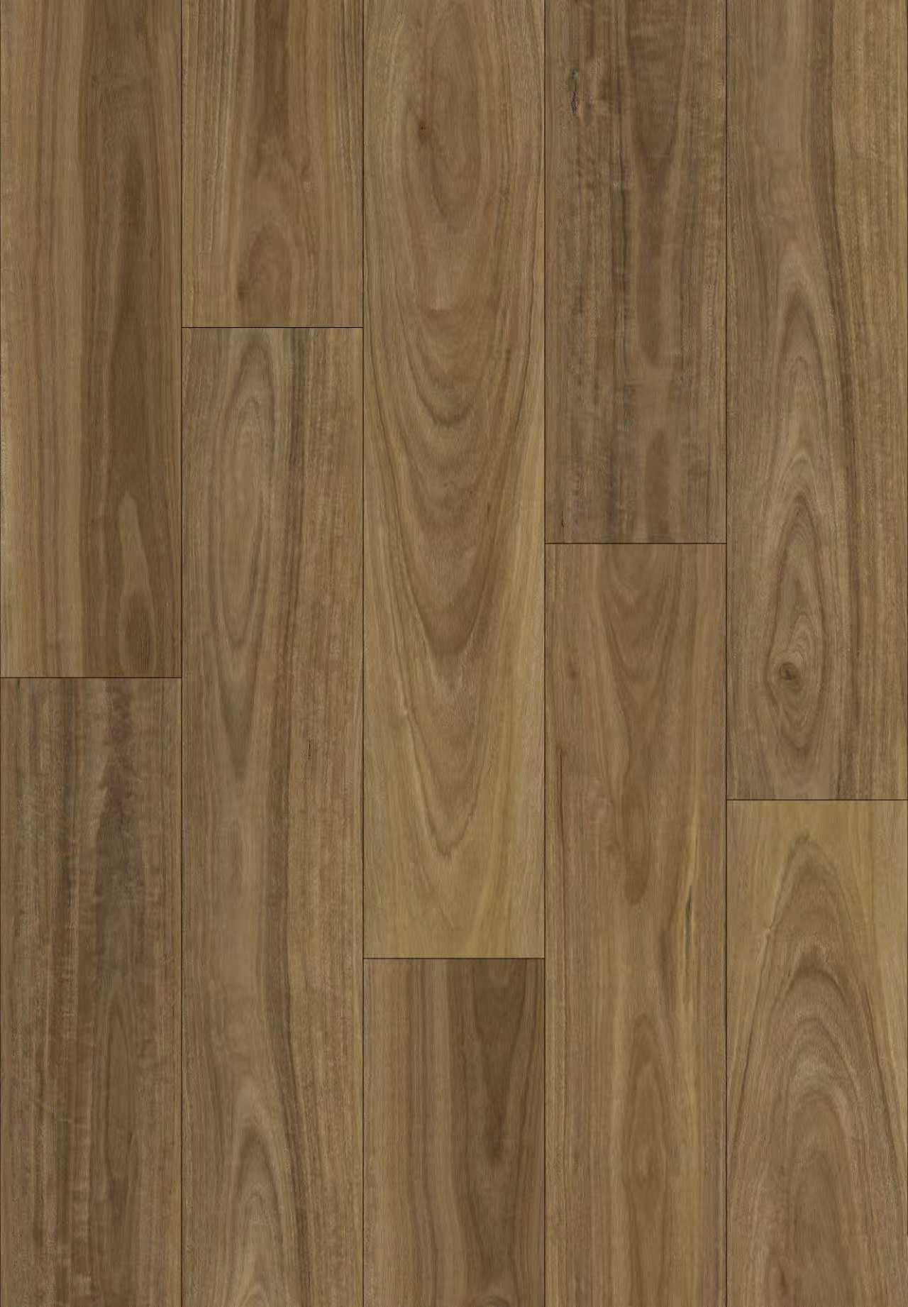 Spotted Gum