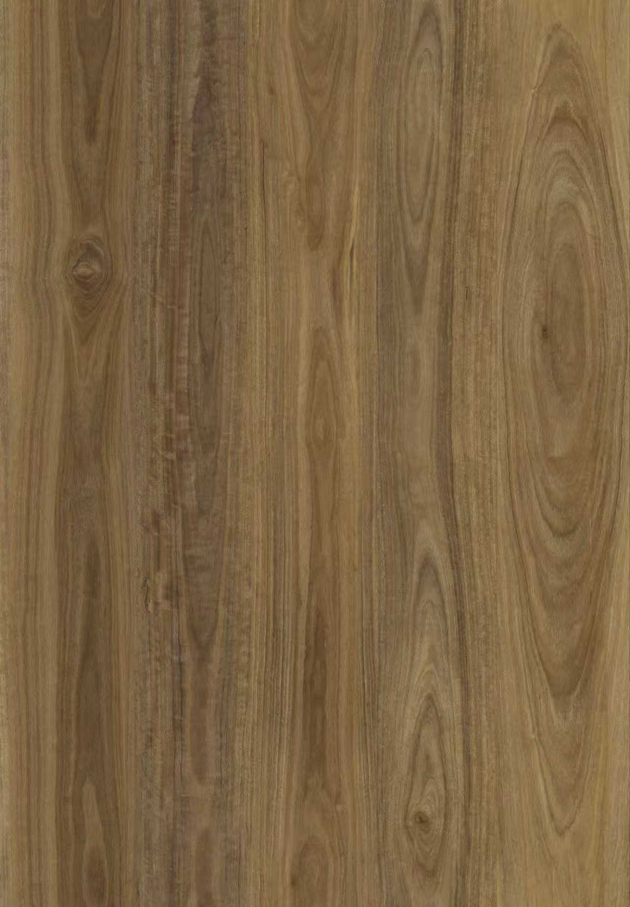 Spotted Gum